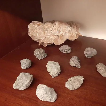 Casa Lo Scoglio Della Ballerina Appartamento