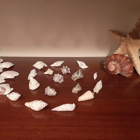 Casa Lo Scoglio Della Ballerina *